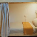 Blue Surf House Only Surf * Corralejo